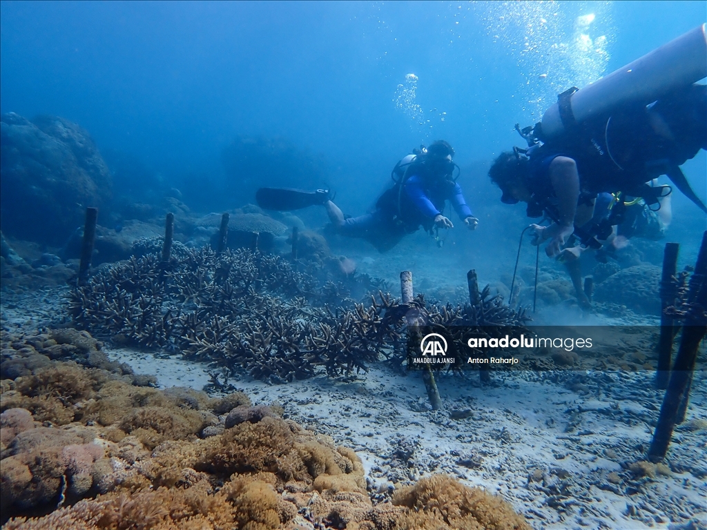 Bali'de Dünya Okyanuslar Günü 