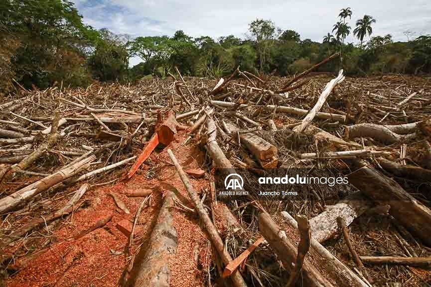 Las consecuencias de las inundaciones en La Montañita, Caquetá, debido a la tala indiscriminada de bosques y ganadería expansiva 