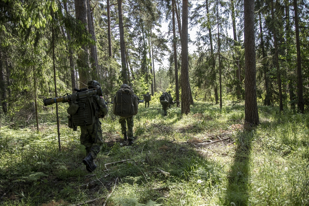 NATO military drill in Gotland