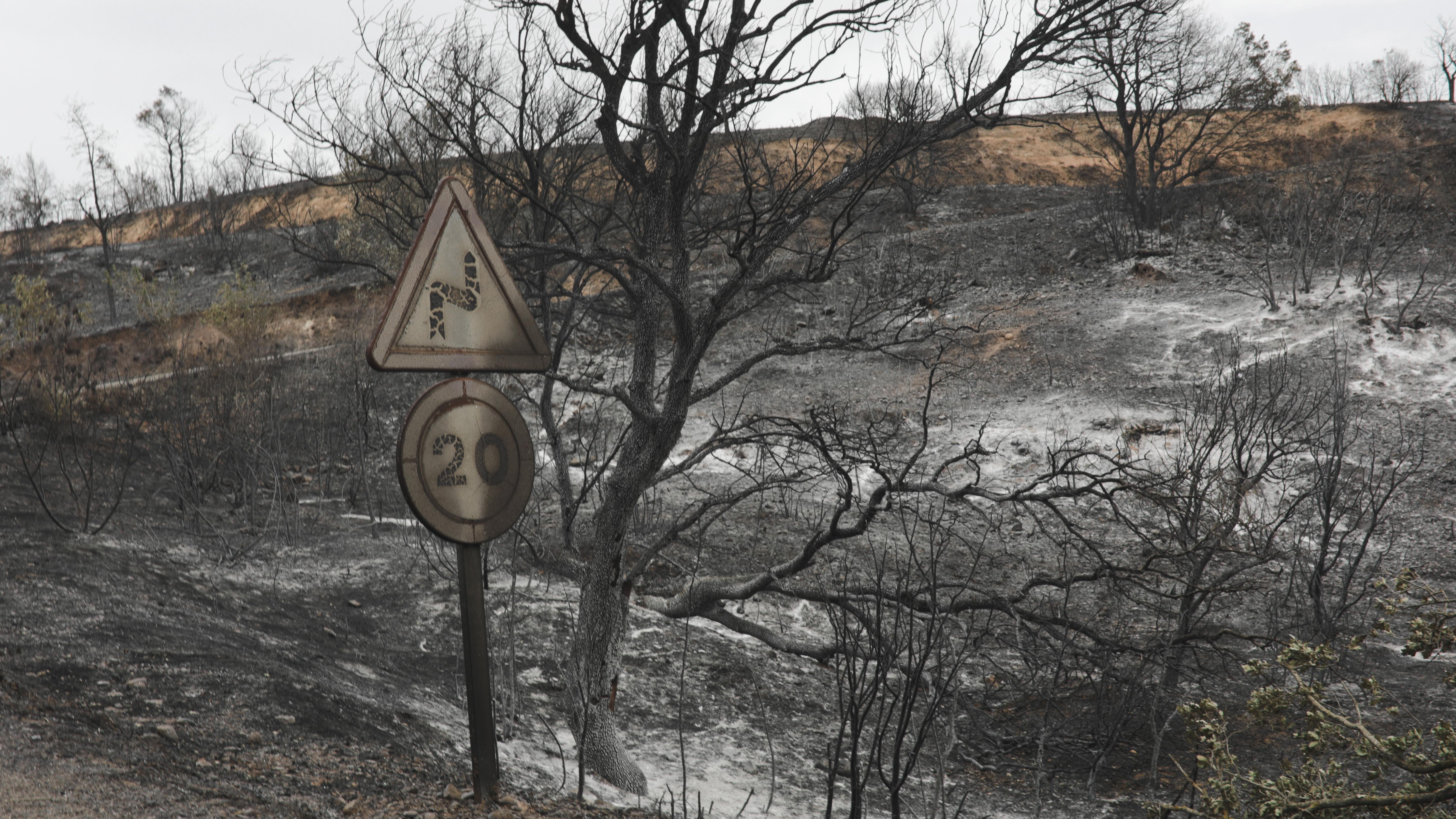 Katalonya'da devam eden orman yangınları ile mücadele sürüyor