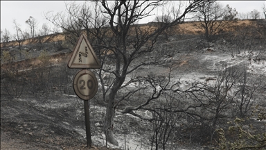 Katalonya'da devam eden orman yangınları ile mücadele sürüyor