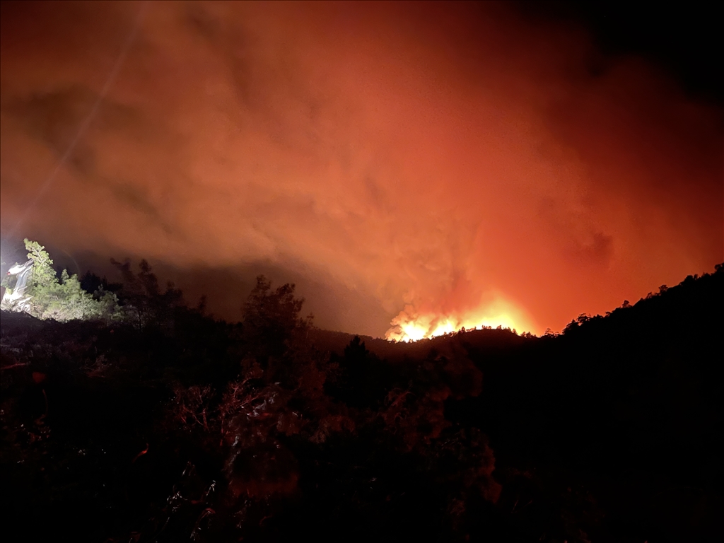 Marmaris'te orman yangını başladı