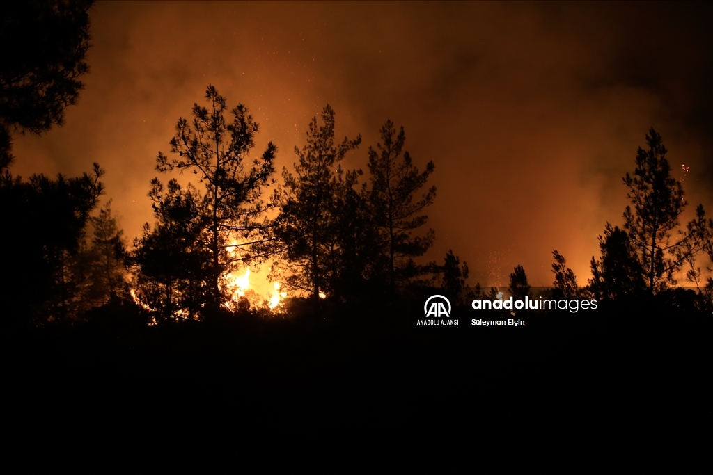 Marmaris'te orman yangınına müdahale ediliyor