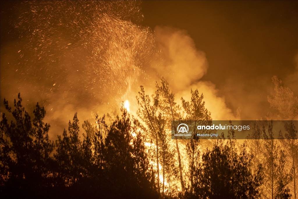 Marmaris'te orman yangınına müdahale ediliyor