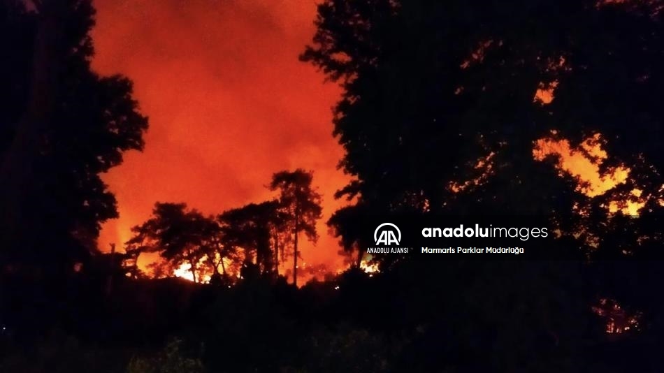 Marmaris'te orman yangını başladı