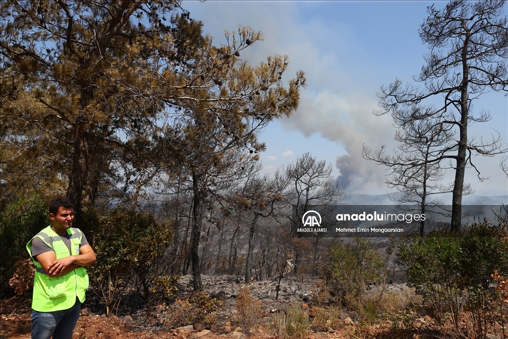 Marmaris'teki orman yangınına havadan ve karadan müdahale ediliyor