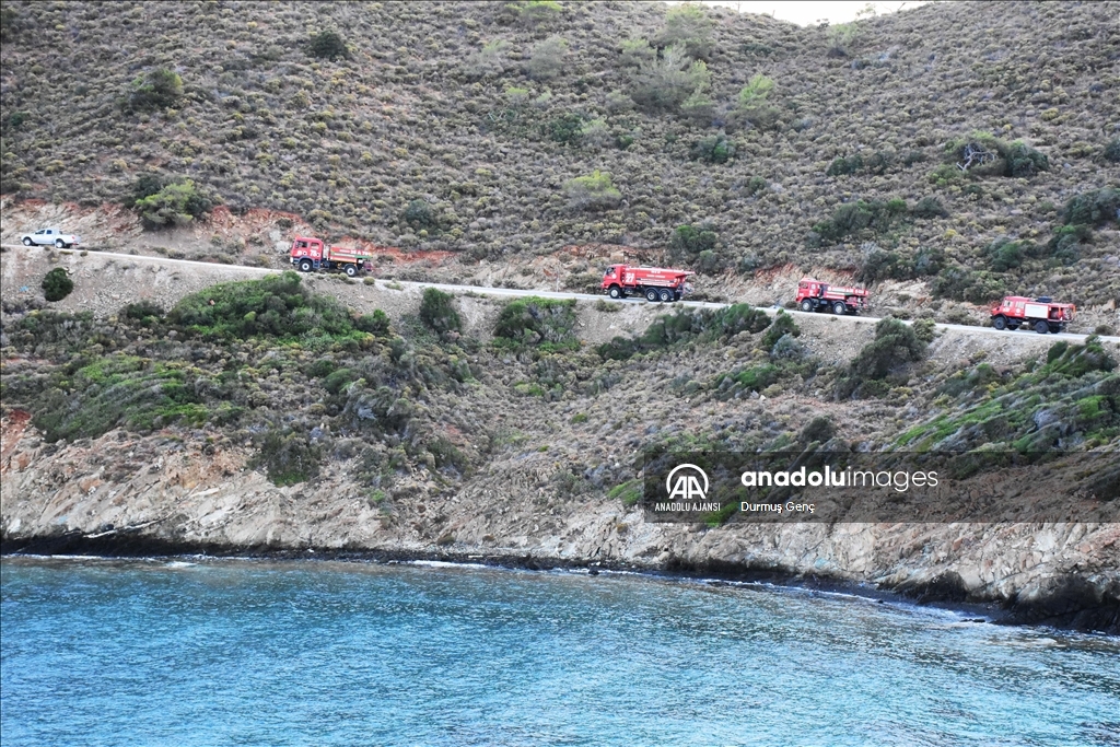 Marmaris'teki orman yangınına havadan ve karadan müdahale ediliyor