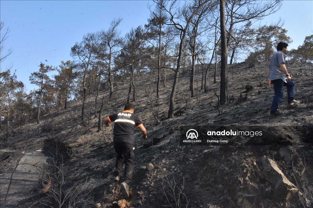 Marmaris'teki orman yangınına havadan ve karadan müdahale ediliyor