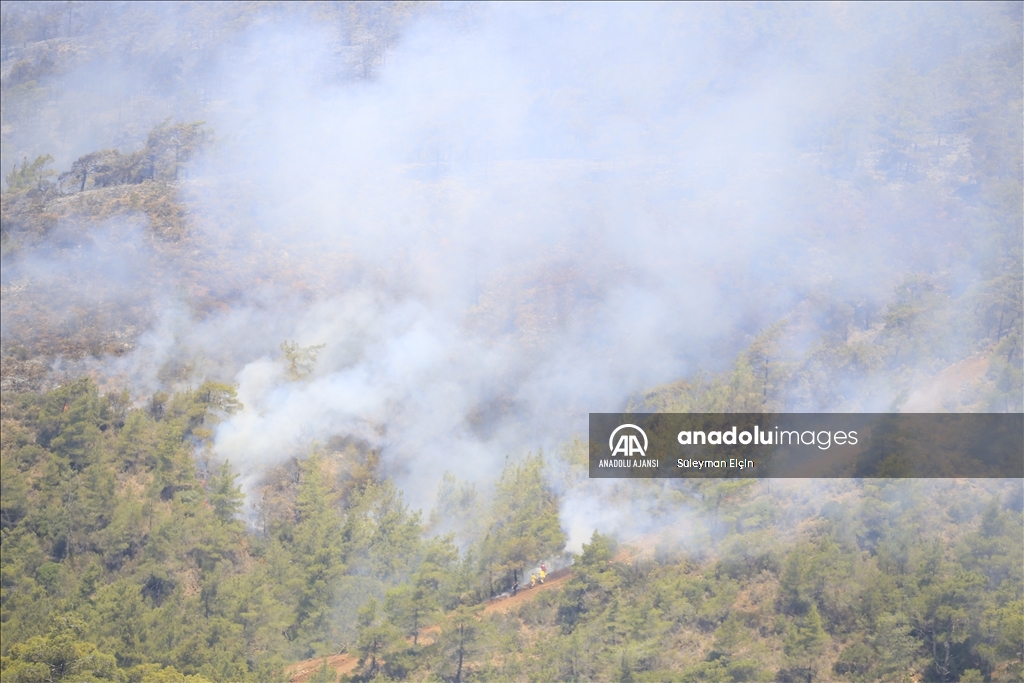 Marmaris'teki orman yangınına havadan ve karadan müdahale ediliyor