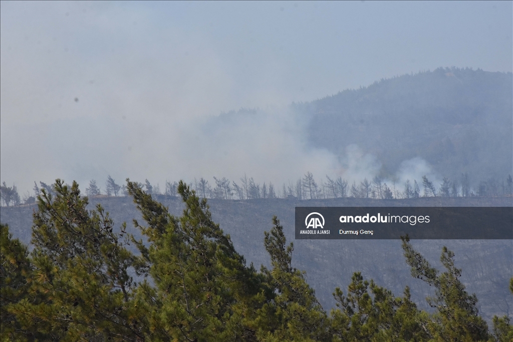 Marmaris'teki orman yangınına havadan ve karadan müdahale ediliyor