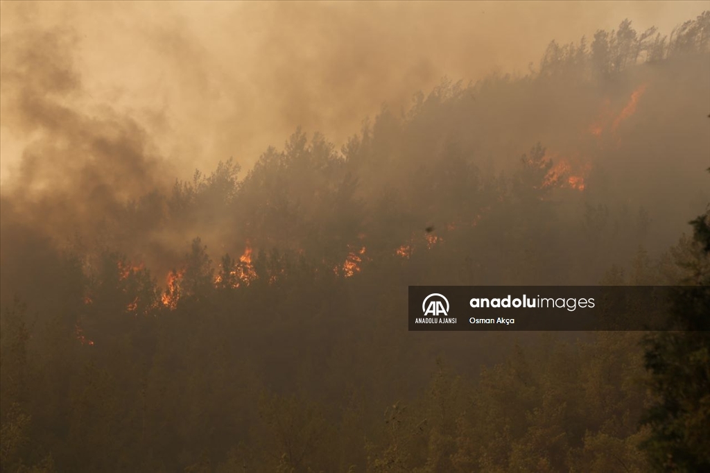 Marmaris'teki orman yangını 