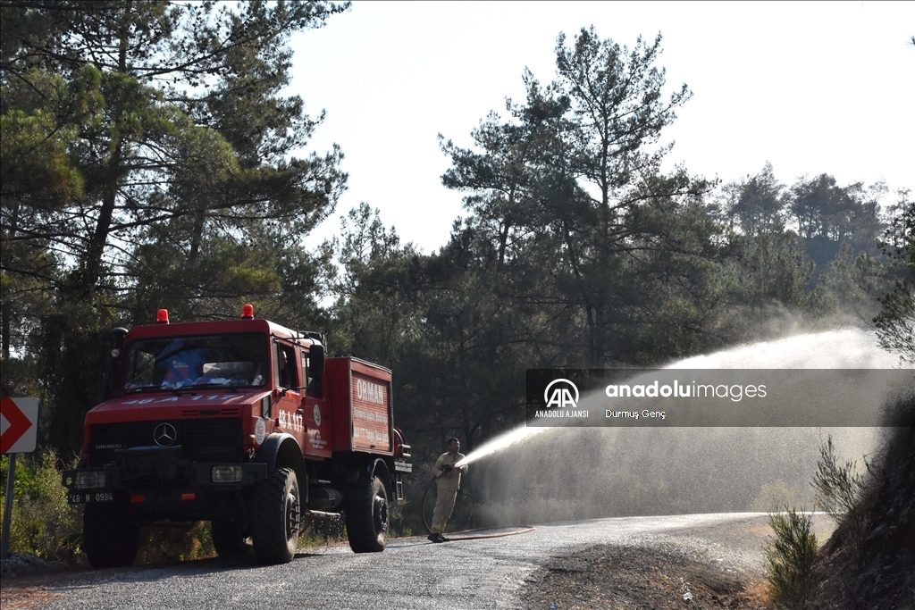 Marmaris'teki orman yangınına havadan ve karadan müdahale ediliyor