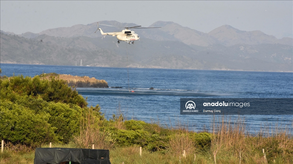 Marmaris'teki orman yangınına havadan ve karadan müdahale ediliyor