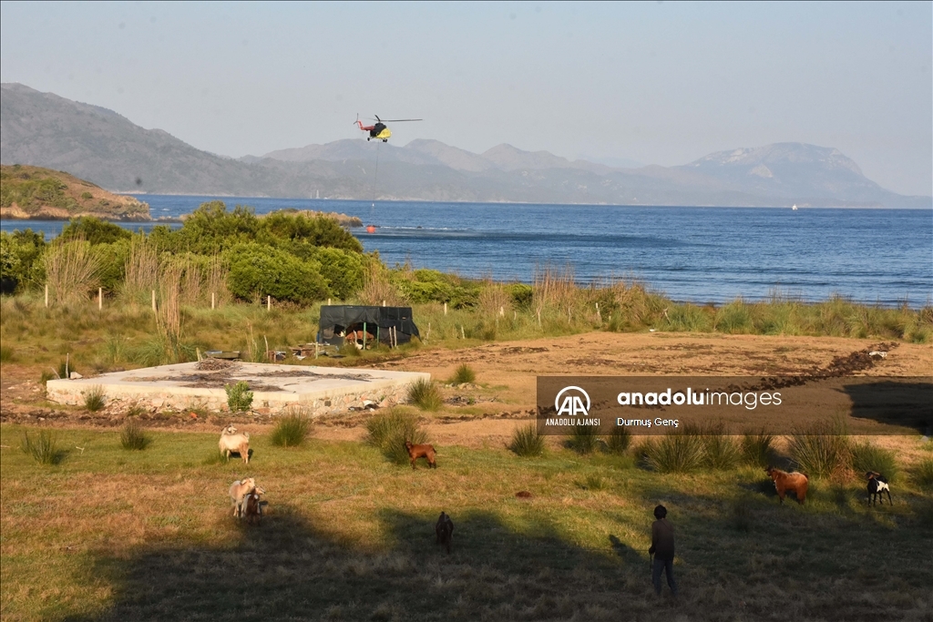 Marmaris'teki orman yangınına havadan ve karadan müdahale ediliyor