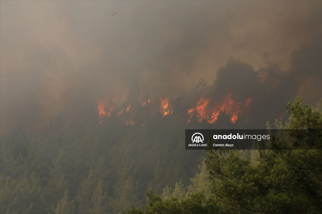 Marmaris'teki orman yangını 