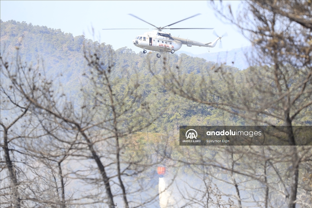 Marmaris'teki orman yangınına havadan ve karadan müdahale ediliyor
