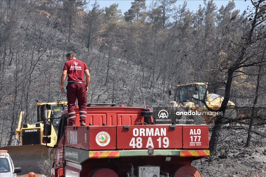 Marmaris'teki orman yangınına havadan ve karadan müdahale ediliyor