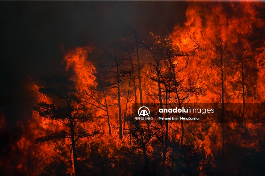 Así combaten las autoridades los incendios forestales al sur de Türkiye