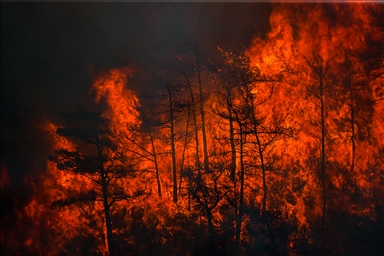 La lucha contra los incendios forestales en el sur de Türkiye