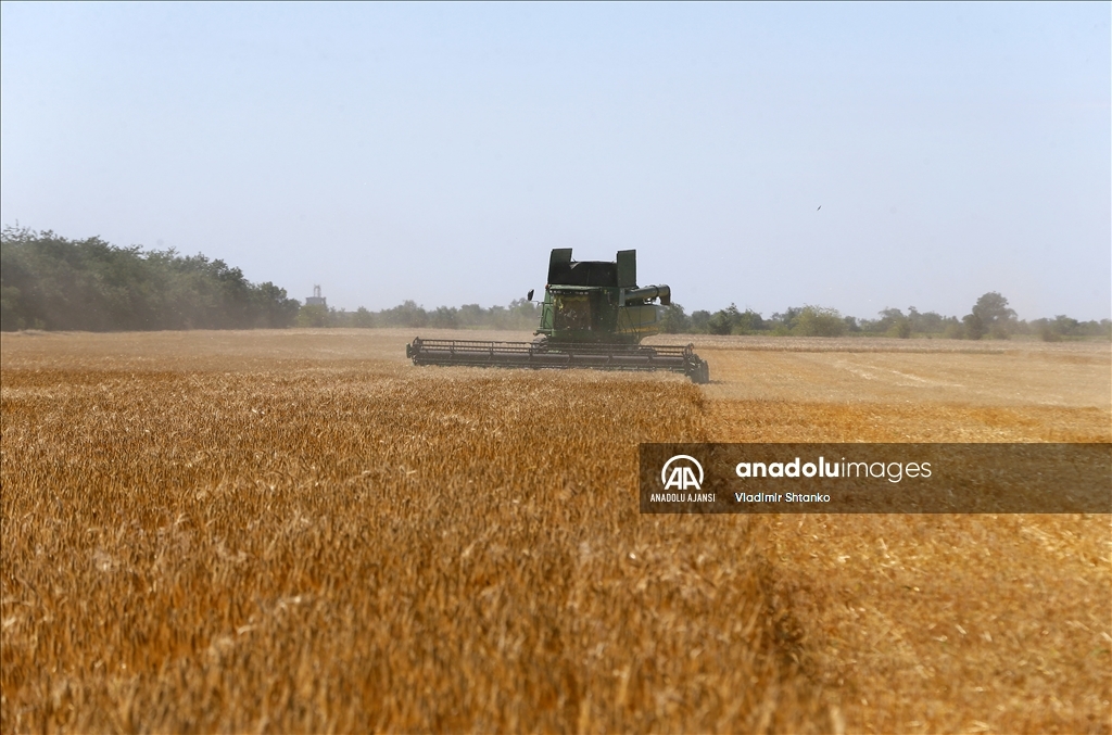 Ukrayna'daki tahıl krizi