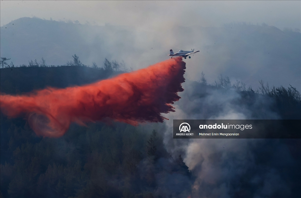 Petugas pemadam kebakaran berjuang untuk mengendalikan api di Turkiye selatan