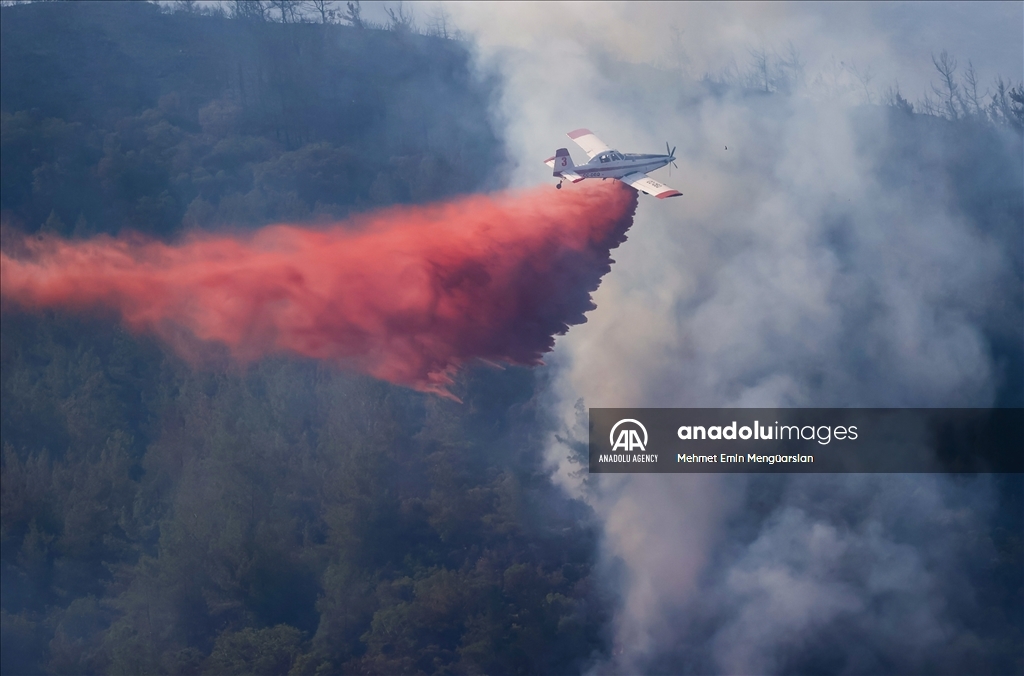 Petugas pemadam kebakaran berjuang untuk mengendalikan api di Turkiye selatan