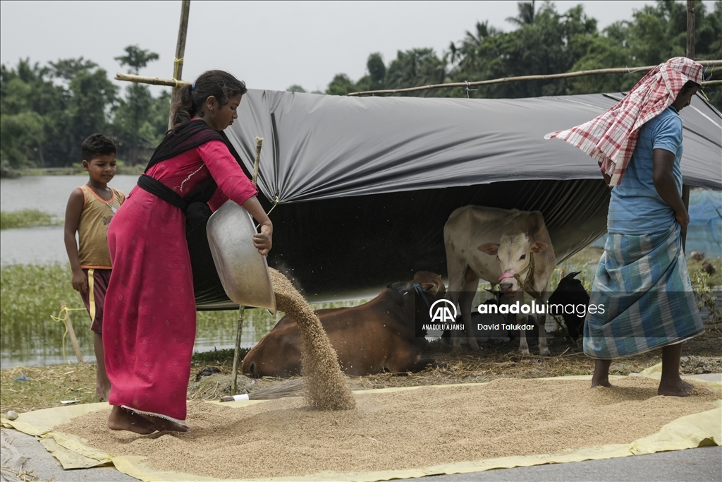 Hindistan'ın Assam eyaletindeki sellerde ölenlerin sayısı 100'ü geçti