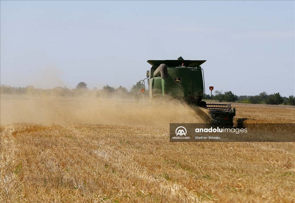 Ukrayna'daki tahıl krizi