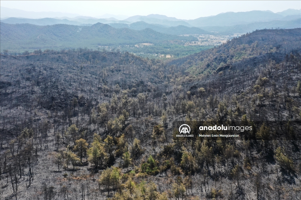 Marmaris'te yanan alanlar havadan görüntülendi