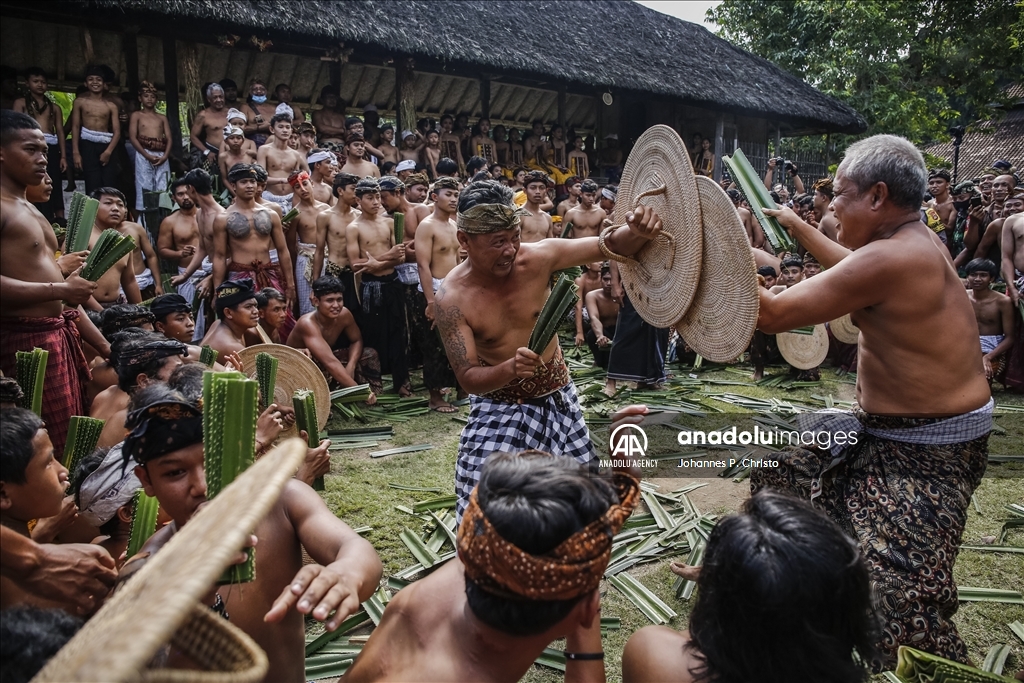 Tradisi tarung daun pandan di Bali