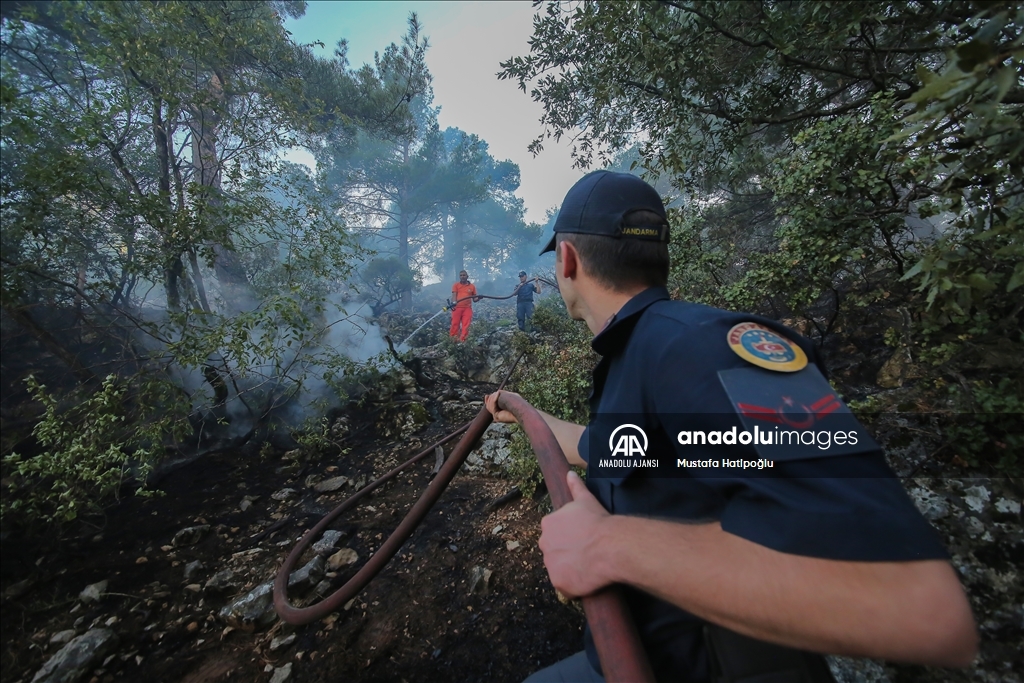 Antalya'da çıkan orman yangını kontrol altına alındı