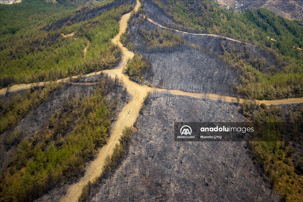 Marmaris'teki yangından dolayı zarar gören alanlar havadan görüntülendi