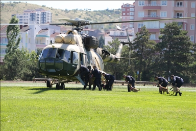 Jandarmanın "hassas burunları" operasyonlara helikopterli eğitimle hazırlanıyor