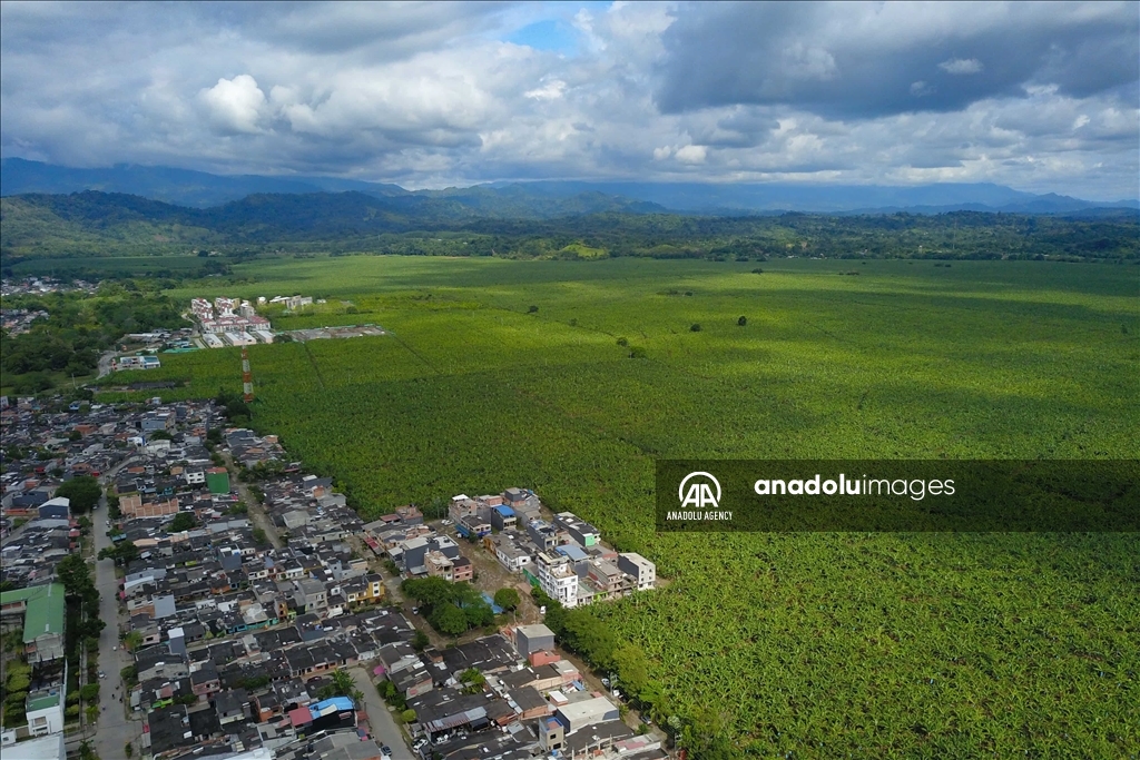 Apartadó, el municipio colombiano rodeado de miles de hectáreas de plátano y banano 1