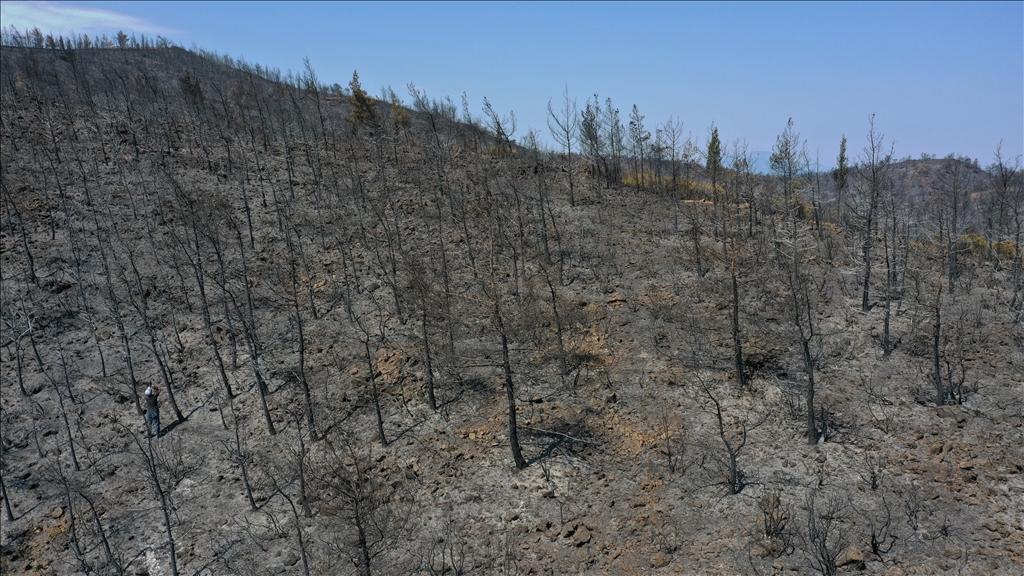 Marmaris'te yanan ormanlık alanda soğutma çalışmaları sürüyor