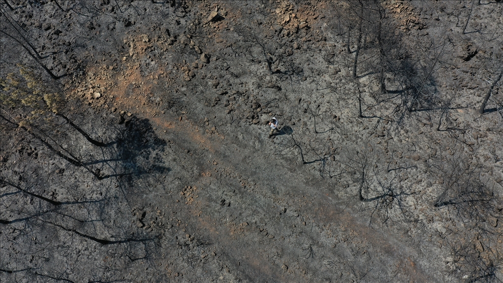 Marmaris'te yanan ormanlık alanda soğutma çalışmaları sürüyor