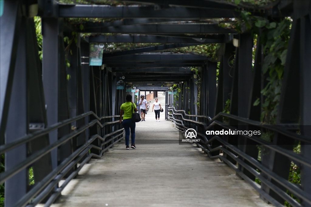 Apartadó, el municipio colombiano rodeado de miles de hectáreas de plátano y banano 7