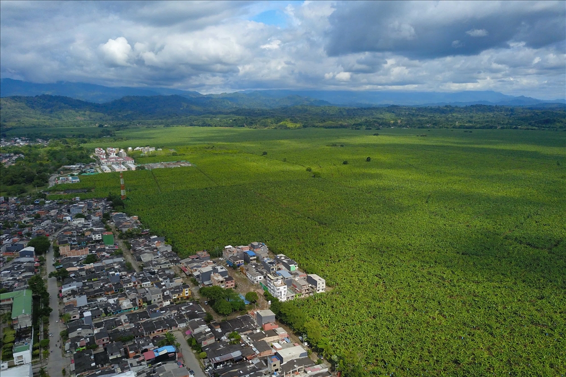 Apartadó, el municipio colombiano rodeado de miles de hectáreas de plátano y banano