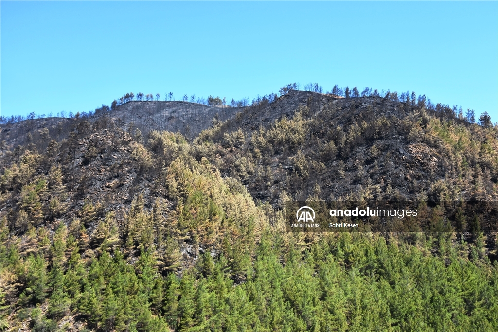 Marmaris'te yanan orman alanı havadan görüntülendi