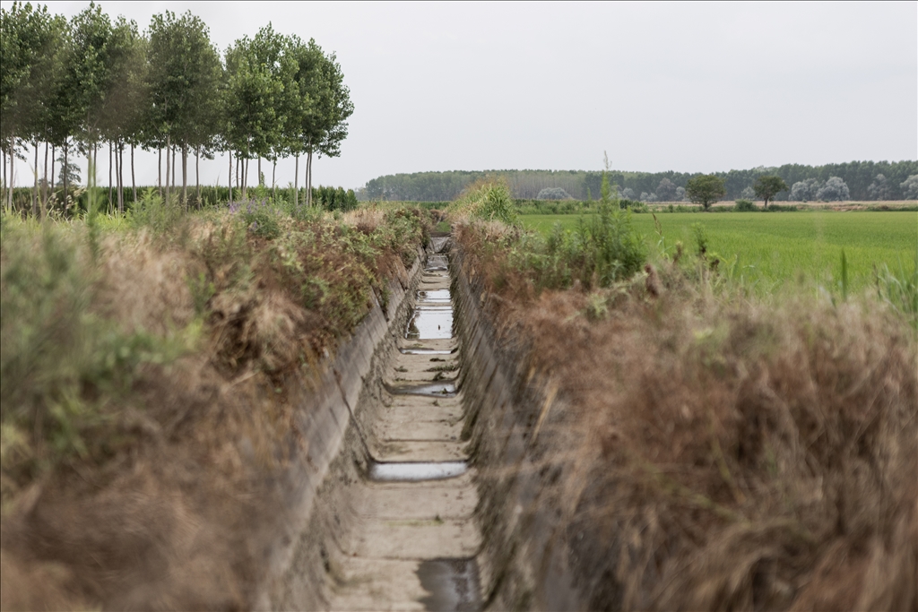 Drought emergency in Piedmont, Italy