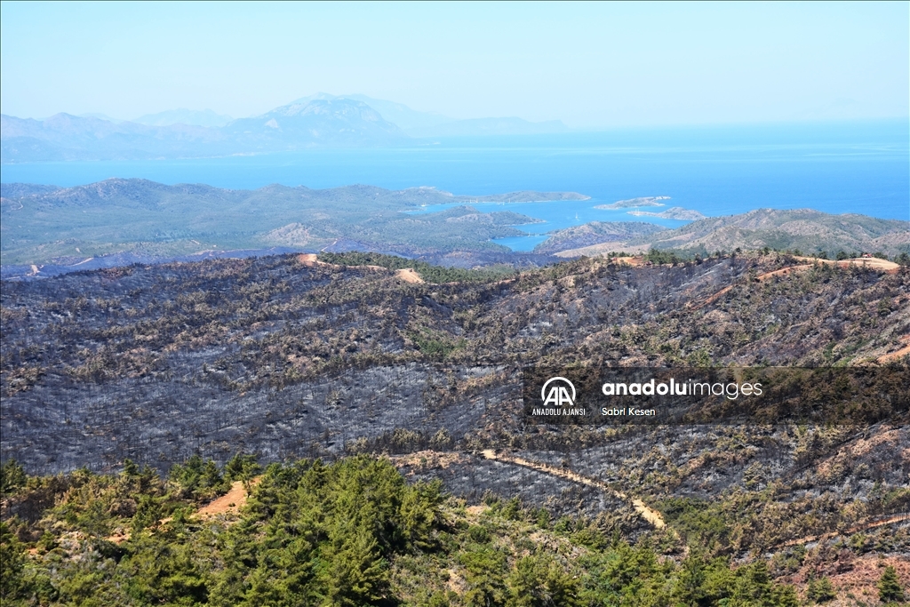 Marmaris'te yanan orman alanı havadan görüntülendi
