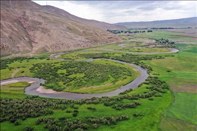 Ağrı'da rengarenk çiçeklerle kaplanan tarlalar ve dağlar dronla görüntülendi