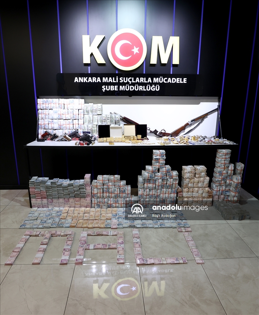 "Demir Yumruk" operasyonunda 8 bin 690 banka hesabı ile bir özel uçağa el konuldu