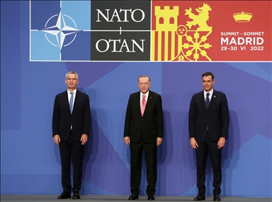 Эрдоган коротко побеседовал с Байденом и Джонсоном