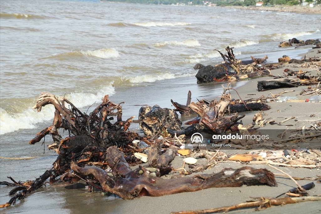 Sakarya'da sağanağın ardından Kocaali sahilinde kirlilik oluştu