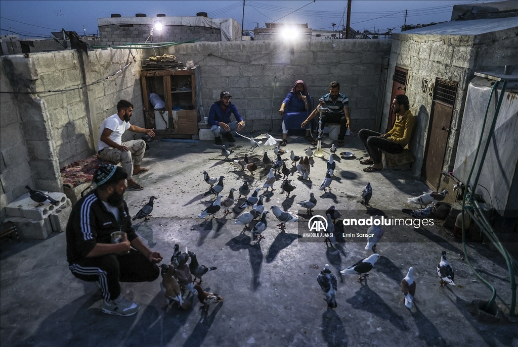 Mülteci kampının güvercinleri özgürlüğe kanat çırpıyor