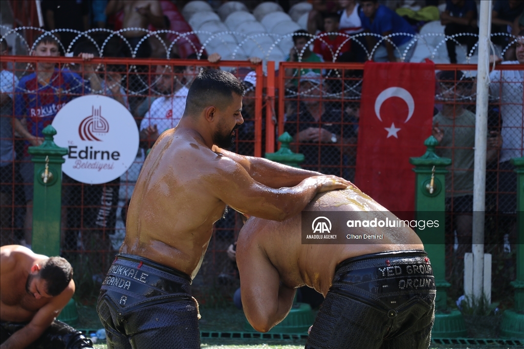 تركيا.. بطولة "مصارعة الزيت" التاريخية تستمر لليوم الثاني