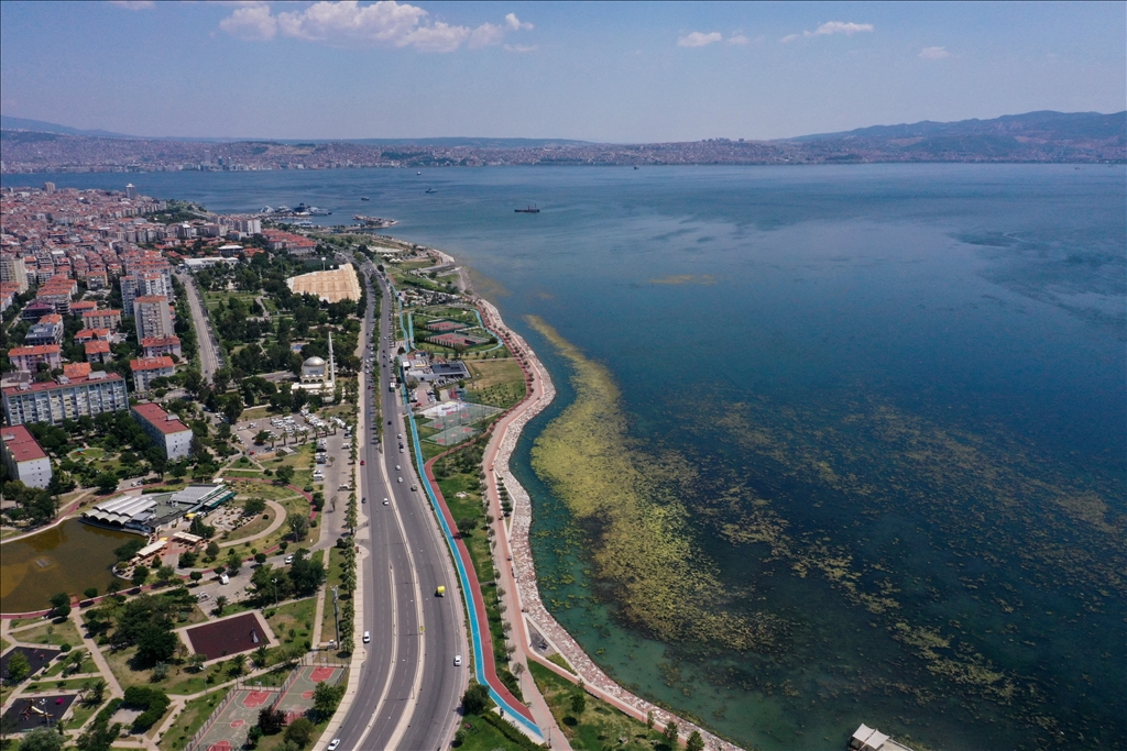 İzmir'de Bostanlı sahilinde yosun tabakası oluştu