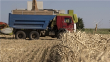 Savaş altındaki Ukrayna'nın Odessa kentinin limanlarında 6 milyon ton tahıl bekletiliyor