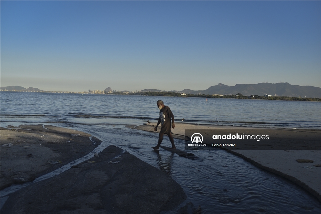 Guanabara Körfezi'ne dökülen çöpler, canlı yaşamını tehdit ediyor